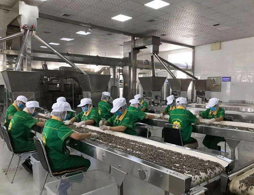 我市服裝輔料銷售工作成績顯著 互聯(lián)網(wǎng)營銷精準(zhǔn)鏈接10萬粉絲 全網(wǎng)曝光量突破1億次